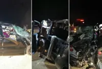Perhilitan tracking elephant herd after LPT2 MPV collision