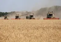 World faces fresh food price surge, FAO warns