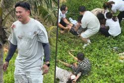 Honeymooning Chinese policeman and wife save family of five from teetering car on slope edge