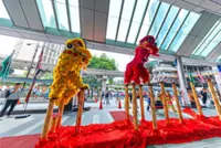 Lions set for fierce dance-off in Genting
