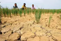 Fending off climate anxiety through skills and agency