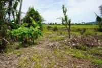 Another sack of human bones found in Kangar