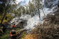 Fire burns 60 hectares in Indonesia’s Mount Bromo National Park