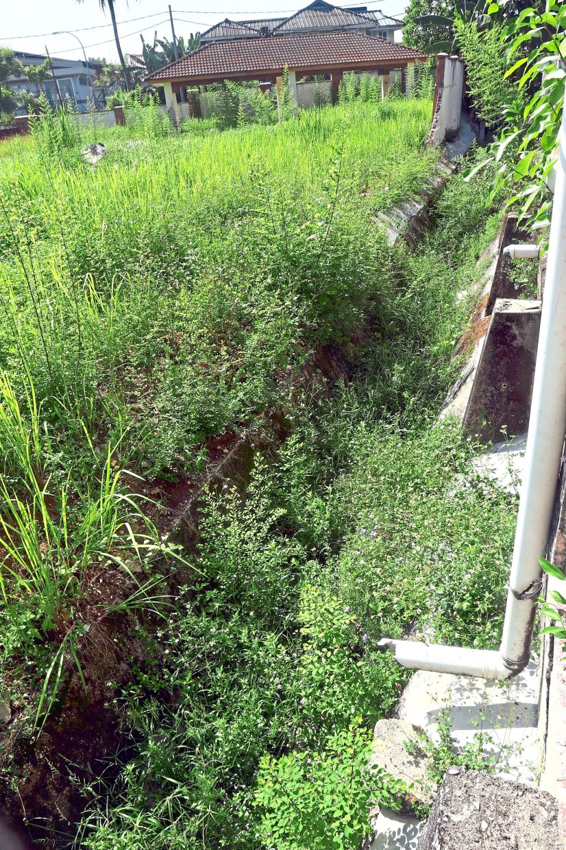 Overgrown vegetation blocking the flow of water in the Lim Garden monsoon drain.
