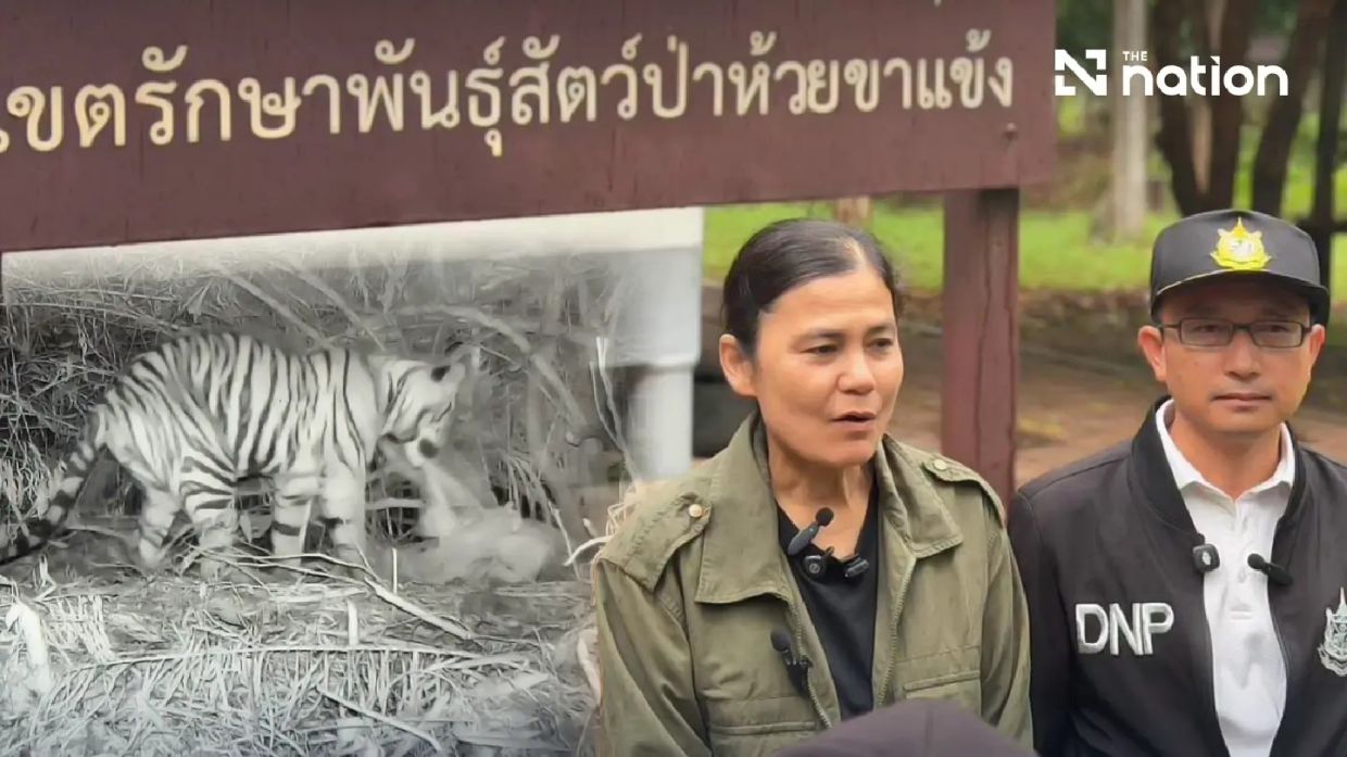 Thai authorities say fatal tiger attack on ranger was accidental