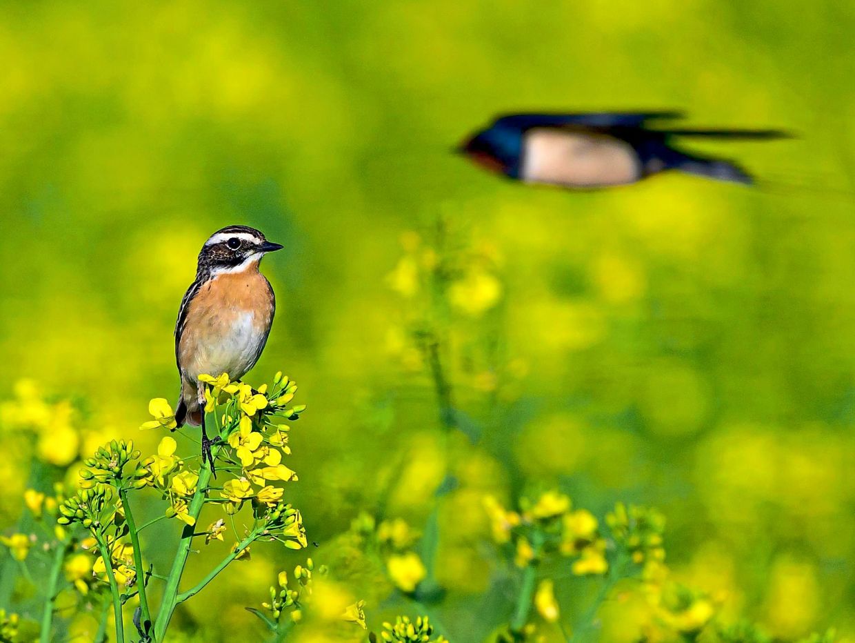 How sounds and surroundings affect stress