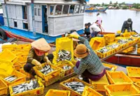 Fishery exports maintain momentum despite mounting headwinds