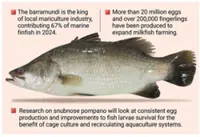 Fisheries dept to produce more of key species