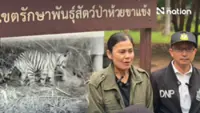 Thai authorities say fatal tiger attack on ranger was accidental