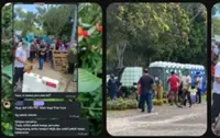 QuickCheck: Were plants from garden display at Melaka event taken home by visitors?