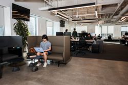 The work of helping AI destroy work