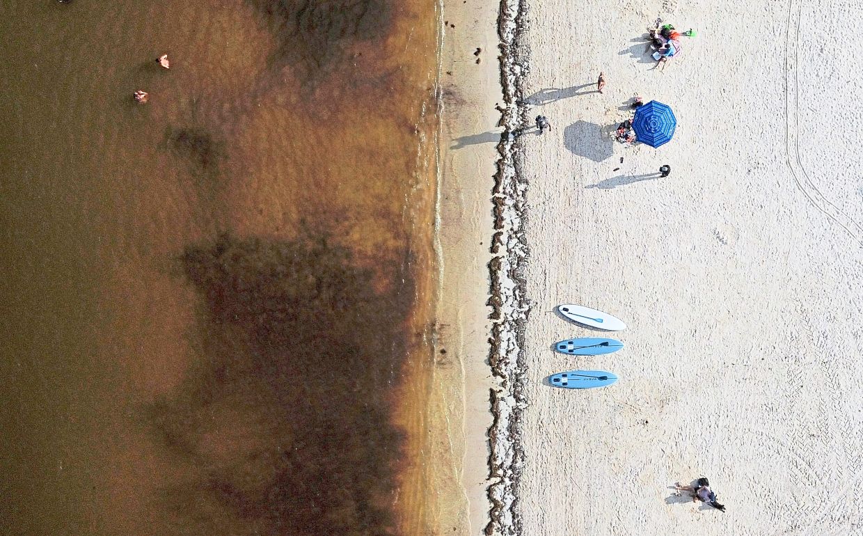 Tourists on the shoreline in Puerto Morelos, where seaweed is discolouring the waters along Mexico's Caribbean coast.