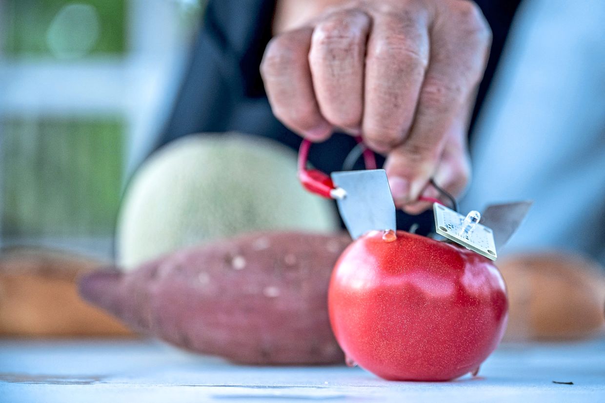 Satoshi Nakagawa demonstrating how to generate electricity using food, wine and other materials at the 'Ku-An' test lab.