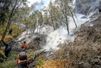 Wildfire ravages Mount Bromo area