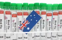 Spike in bird flu prompts cancellation of poultry events at Australian agricultural show