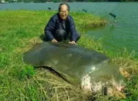 Renowned Vietnamese biologist and turtle specialist dies at 86