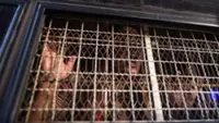 Authorities investigate Sittwe prison riot after prisoners attack officials