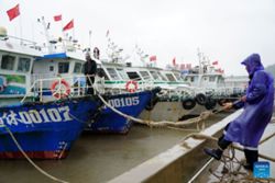 Eastern China braces for Typhoon Dolphin, shutting schools and tourist activities