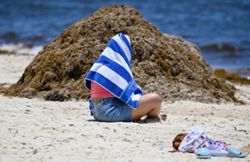 Empty beaches and 'unbearable stench': Mexico wages war on sargassum weeds
