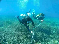 Talks to be held over coral reef damage in Redang