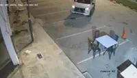 Lawyers group urges probe into driver who ran over sleeping puppy twice