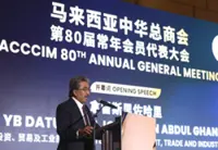 Foreign investment must complement, not displace local firms, warns Johari