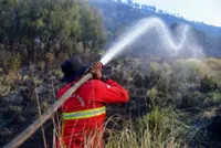 'Safety of tourists is priority ': Indonesia's Mount Bromo closed to visitors as wildfire continues to spread
