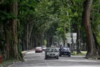 MBPP using satellite-based tech to monitor tree health