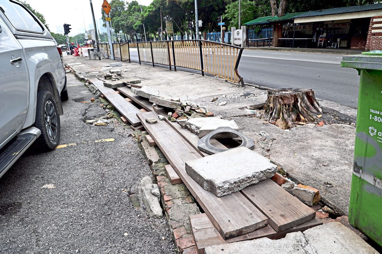 Locals call for better upkeep of Taman Maluri