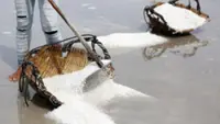 Unpredictable weather threatens Cambodia's traditional salt industry