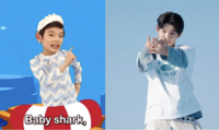 Remember this boy from 'Baby Shark' video? He's now a K-pop singer