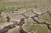 El Nino: 606 portable emergency pumps deployed nationwide, says DID
