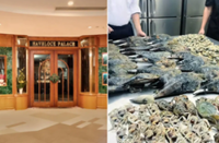 Singapore restaurant apologises for cooking seafood foraged from Changi Beach