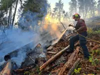 Octogenarian is first killed in British Columbia wildfire