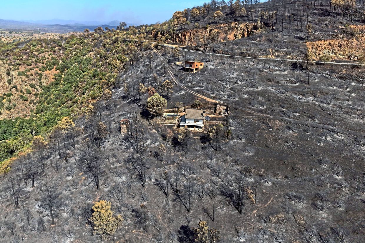 8. An area scorched by a wildfire surrounds structures in El Tiemblo, Avila province, Spain. — AP