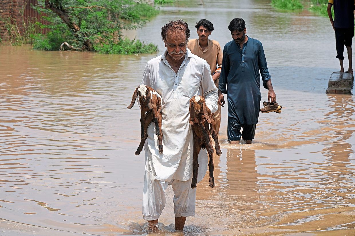 2. A man carrying baby goats through floodwaters in a flooded area near Lahore, Pakistan. — AP