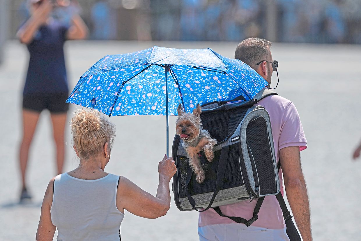 6. A woman using an umbrella to shield her dog from the scorching sun as they walk through St Peter’s Square at theVatican. — AP