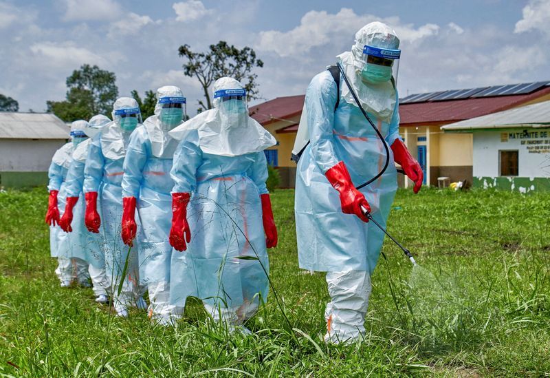 New Ebola variant in Congo outbreak traced to animal transmission