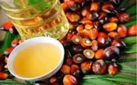 If I were palm oil in your bathroom mirror