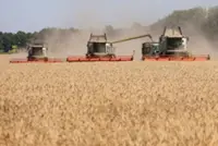 Wheat hits week highest on Black Sea disruptions