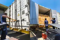 Ops Chick: MACC cripples Sabah syndicate over illegal frozen chicken imports