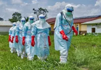 New transmission from animals likely caused Congo-Uganda Ebola outbreak, study says