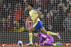 Soccer-Fulham sign midfielder Charles from Southampton