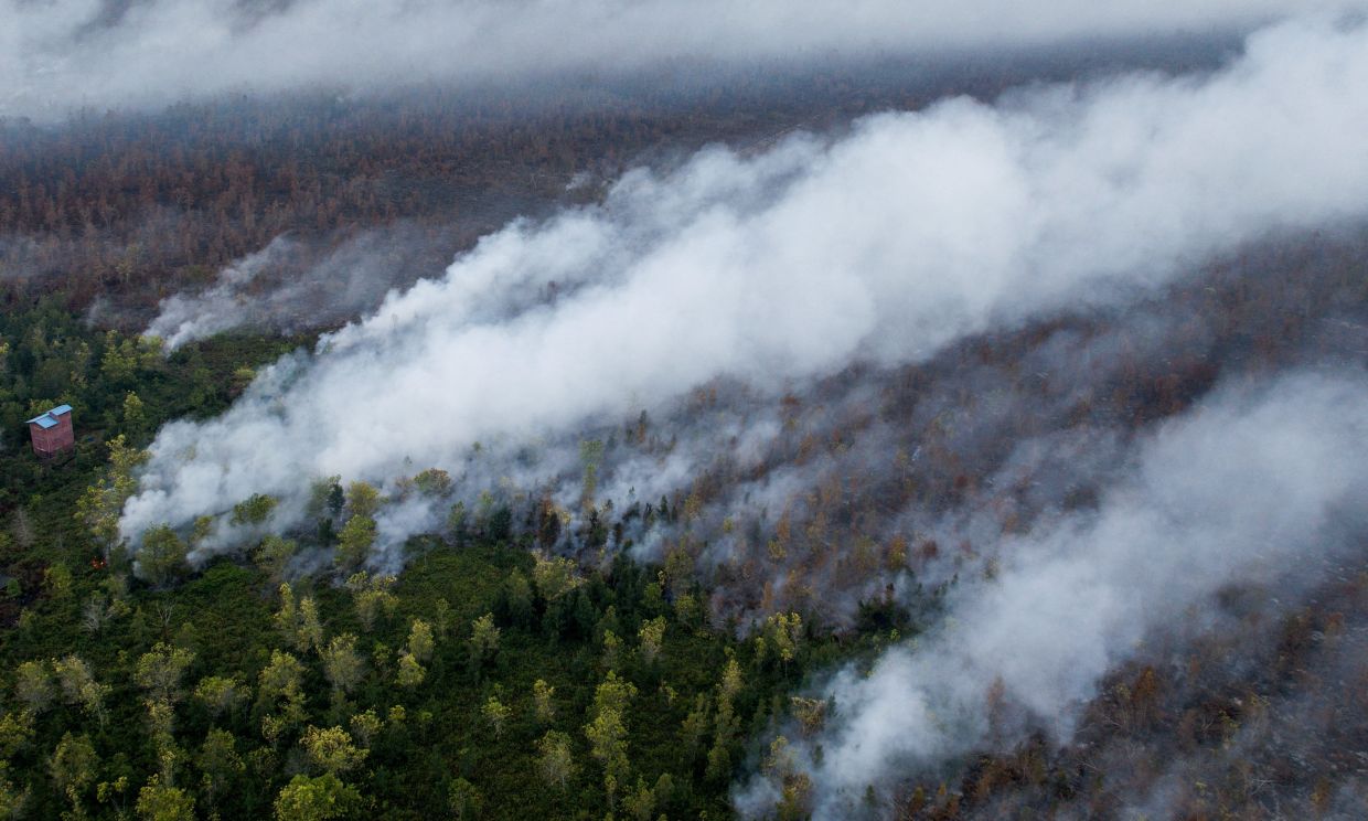 A drone view showing smoke rising from wildfire burning in Pulang Pisau, Central Kalimantan province, Indonesia on Aug 12, 2026. - Reuters