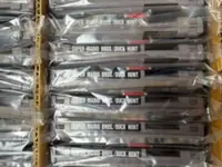 Ultrarare Nintendo Mario game cartridges discovered in Wisconsin