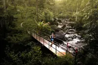 World comes to Taiping as Malaysia Ultra-Trail by UTMB draws runners from 63 countries