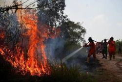 Indonesia extinguishes four forest and land fires