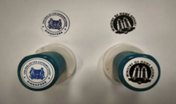 Suspected scammer caught in Singapore with fake employee passes and stamps with Supreme Court emblem