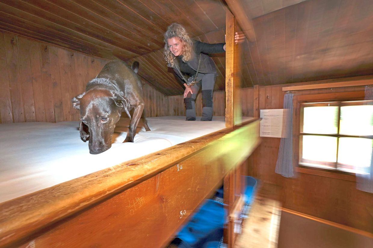 Linus checking for bedbugs with handler Pannasch in an alpine hut in Bavaria’s Berchtesgaden.
