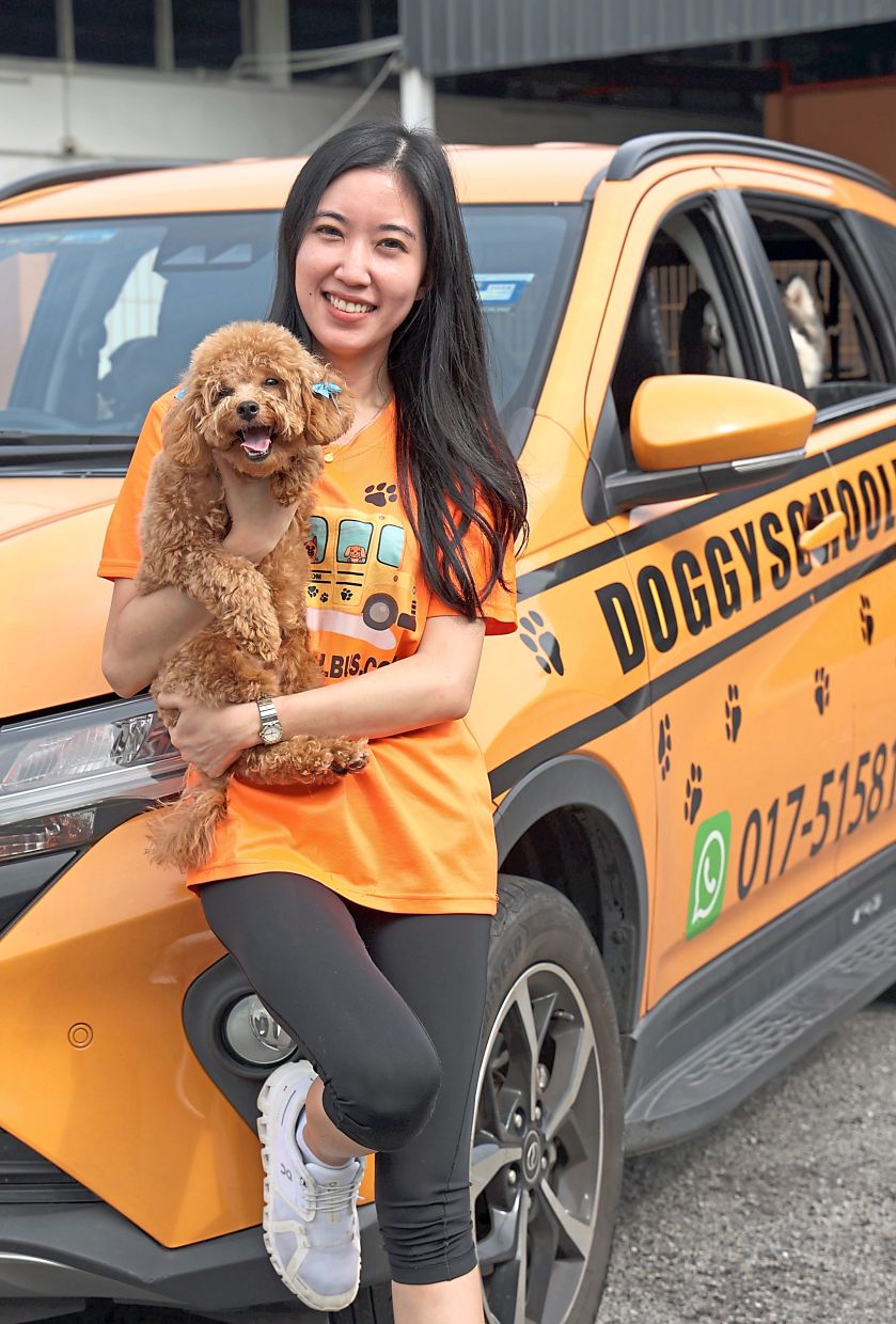 Besides providing food and shelter, Koh says it is equally important for dogs to be mentally stimulated. Photo: The Star/Art Chen
